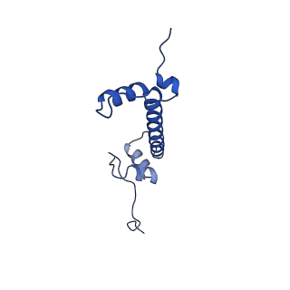 28630_8evi_C_v1-1
CX3CR1 nucleosome and PU.1 complex containing disulfide bond mutations
