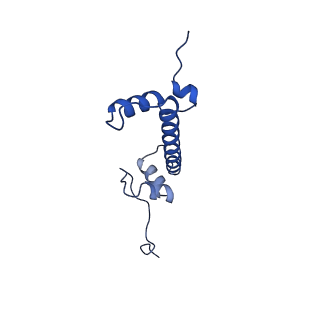 28630_8evi_C_v1-2
CX3CR1 nucleosome and PU.1 complex containing disulfide bond mutations