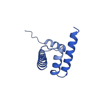 28630_8evi_D_v1-2
CX3CR1 nucleosome and PU.1 complex containing disulfide bond mutations