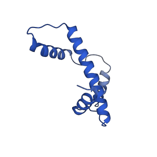 28630_8evi_E_v1-1
CX3CR1 nucleosome and PU.1 complex containing disulfide bond mutations