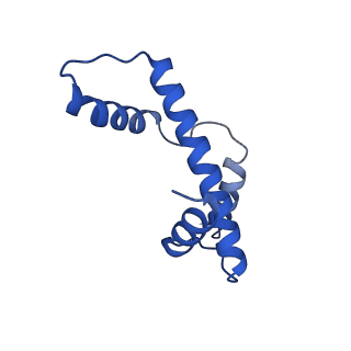 28630_8evi_E_v1-2
CX3CR1 nucleosome and PU.1 complex containing disulfide bond mutations