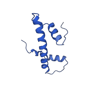 28630_8evi_F_v1-1
CX3CR1 nucleosome and PU.1 complex containing disulfide bond mutations