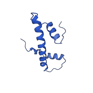 28630_8evi_F_v1-2
CX3CR1 nucleosome and PU.1 complex containing disulfide bond mutations