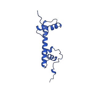 28630_8evi_G_v1-1
CX3CR1 nucleosome and PU.1 complex containing disulfide bond mutations