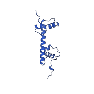 28630_8evi_G_v1-2
CX3CR1 nucleosome and PU.1 complex containing disulfide bond mutations