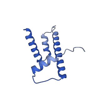 28630_8evi_H_v1-2
CX3CR1 nucleosome and PU.1 complex containing disulfide bond mutations