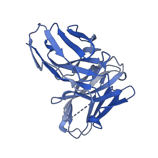 28630_8evi_M_v1-1
CX3CR1 nucleosome and PU.1 complex containing disulfide bond mutations