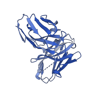 28630_8evi_M_v1-2
CX3CR1 nucleosome and PU.1 complex containing disulfide bond mutations