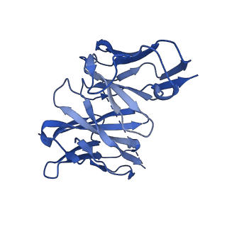 28630_8evi_N_v1-1
CX3CR1 nucleosome and PU.1 complex containing disulfide bond mutations
