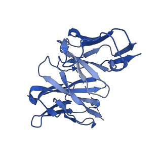 28630_8evi_N_v1-2
CX3CR1 nucleosome and PU.1 complex containing disulfide bond mutations