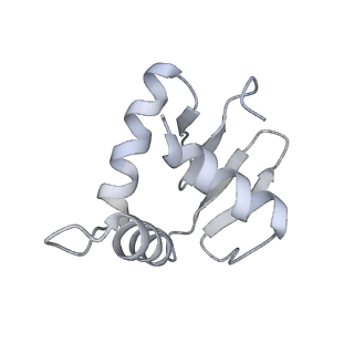 28630_8evi_O_v1-1
CX3CR1 nucleosome and PU.1 complex containing disulfide bond mutations