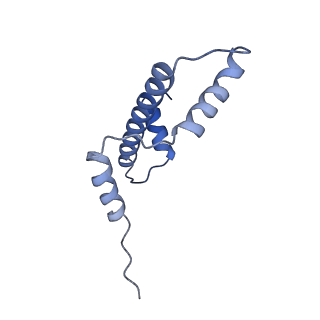 28631_8evj_A_v1-2
CX3CR1 nucleosome bound PU.1 and C/EBPa