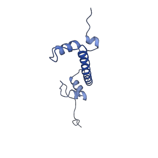 28631_8evj_C_v1-1
CX3CR1 nucleosome bound PU.1 and C/EBPa