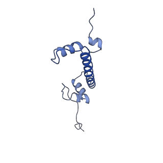 28631_8evj_C_v1-2
CX3CR1 nucleosome bound PU.1 and C/EBPa