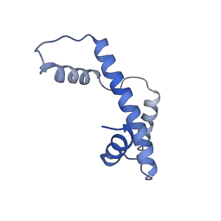 28631_8evj_E_v1-2
CX3CR1 nucleosome bound PU.1 and C/EBPa