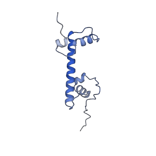 28631_8evj_G_v1-2
CX3CR1 nucleosome bound PU.1 and C/EBPa