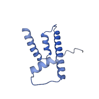 28631_8evj_H_v1-2
CX3CR1 nucleosome bound PU.1 and C/EBPa