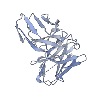 28631_8evj_M_v1-2
CX3CR1 nucleosome bound PU.1 and C/EBPa