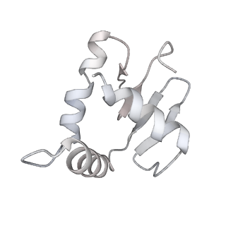 28631_8evj_O_v1-1
CX3CR1 nucleosome bound PU.1 and C/EBPa