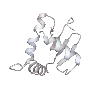 28631_8evj_O_v1-2
CX3CR1 nucleosome bound PU.1 and C/EBPa