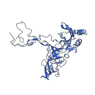 28633_8evq_AB_v1-0
Hypopseudouridylated Ribosome bound with TSV IRES, eEF2, GDP, and sordarin, Structure I