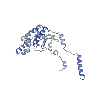 28633_8evq_AD_v1-0
Hypopseudouridylated Ribosome bound with TSV IRES, eEF2, GDP, and sordarin, Structure I