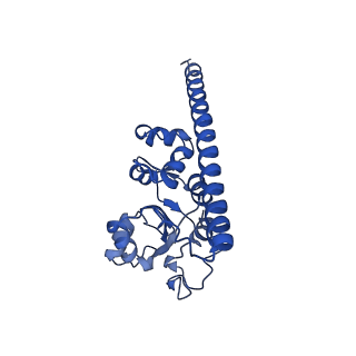 28633_8evq_AF_v1-0
Hypopseudouridylated Ribosome bound with TSV IRES, eEF2, GDP, and sordarin, Structure I