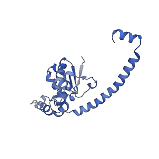 28633_8evq_AO_v1-0
Hypopseudouridylated Ribosome bound with TSV IRES, eEF2, GDP, and sordarin, Structure I