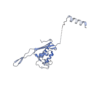 28633_8evq_AP_v1-0
Hypopseudouridylated Ribosome bound with TSV IRES, eEF2, GDP, and sordarin, Structure I