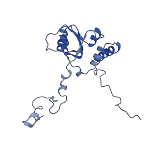 28633_8evq_AQ_v1-0
Hypopseudouridylated Ribosome bound with TSV IRES, eEF2, GDP, and sordarin, Structure I