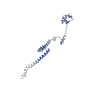 28633_8evq_AR_v1-0
Hypopseudouridylated Ribosome bound with TSV IRES, eEF2, GDP, and sordarin, Structure I