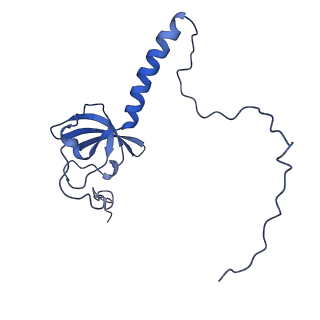 28633_8evq_AT_v1-0
Hypopseudouridylated Ribosome bound with TSV IRES, eEF2, GDP, and sordarin, Structure I