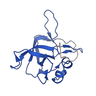 28633_8evq_AV_v1-0
Hypopseudouridylated Ribosome bound with TSV IRES, eEF2, GDP, and sordarin, Structure I