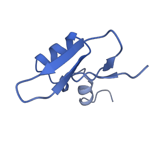 28633_8evq_AW_v1-0
Hypopseudouridylated Ribosome bound with TSV IRES, eEF2, GDP, and sordarin, Structure I