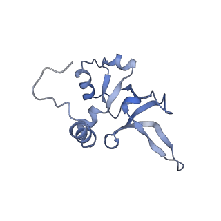 28633_8evq_AY_v1-0
Hypopseudouridylated Ribosome bound with TSV IRES, eEF2, GDP, and sordarin, Structure I