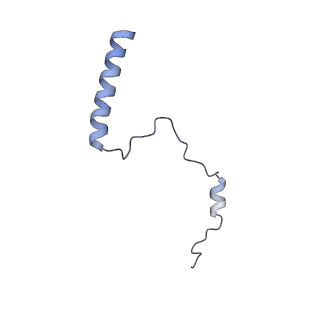 28633_8evq_Ab_v1-0
Hypopseudouridylated Ribosome bound with TSV IRES, eEF2, GDP, and sordarin, Structure I
