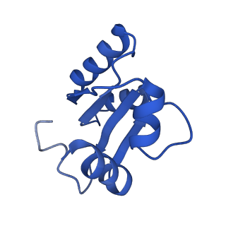 28633_8evq_Ac_v1-0
Hypopseudouridylated Ribosome bound with TSV IRES, eEF2, GDP, and sordarin, Structure I