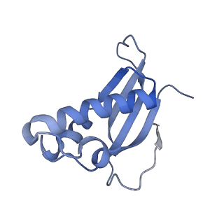 28633_8evq_Ad_v1-0
Hypopseudouridylated Ribosome bound with TSV IRES, eEF2, GDP, and sordarin, Structure I