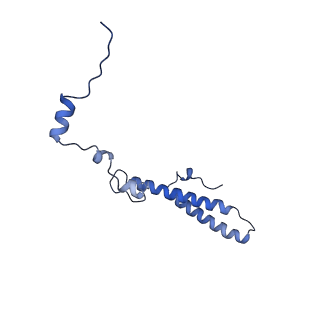 28633_8evq_Ah_v1-0
Hypopseudouridylated Ribosome bound with TSV IRES, eEF2, GDP, and sordarin, Structure I