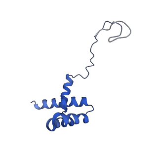 28633_8evq_Ai_v1-0
Hypopseudouridylated Ribosome bound with TSV IRES, eEF2, GDP, and sordarin, Structure I