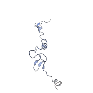 28633_8evq_Aj_v1-0
Hypopseudouridylated Ribosome bound with TSV IRES, eEF2, GDP, and sordarin, Structure I