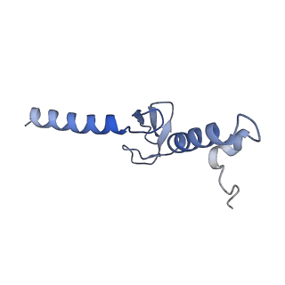 28633_8evq_Ap_v1-0
Hypopseudouridylated Ribosome bound with TSV IRES, eEF2, GDP, and sordarin, Structure I