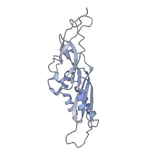28633_8evq_BB_v1-0
Hypopseudouridylated Ribosome bound with TSV IRES, eEF2, GDP, and sordarin, Structure I