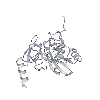 28633_8evq_BE_v1-0
Hypopseudouridylated Ribosome bound with TSV IRES, eEF2, GDP, and sordarin, Structure I