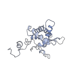 28633_8evq_BF_v1-0
Hypopseudouridylated Ribosome bound with TSV IRES, eEF2, GDP, and sordarin, Structure I