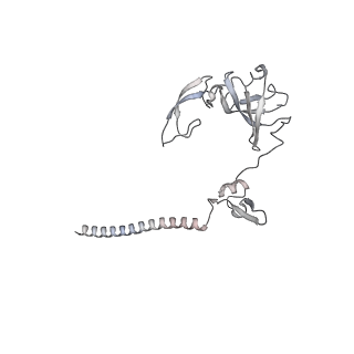 28633_8evq_BG_v1-0
Hypopseudouridylated Ribosome bound with TSV IRES, eEF2, GDP, and sordarin, Structure I