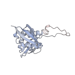 28633_8evq_BH_v1-0
Hypopseudouridylated Ribosome bound with TSV IRES, eEF2, GDP, and sordarin, Structure I