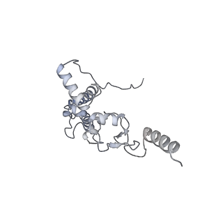 28633_8evq_BJ_v1-0
Hypopseudouridylated Ribosome bound with TSV IRES, eEF2, GDP, and sordarin, Structure I