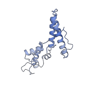 28633_8evq_BN_v1-0
Hypopseudouridylated Ribosome bound with TSV IRES, eEF2, GDP, and sordarin, Structure I