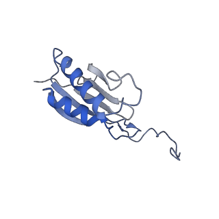 28633_8evq_BO_v1-0
Hypopseudouridylated Ribosome bound with TSV IRES, eEF2, GDP, and sordarin, Structure I